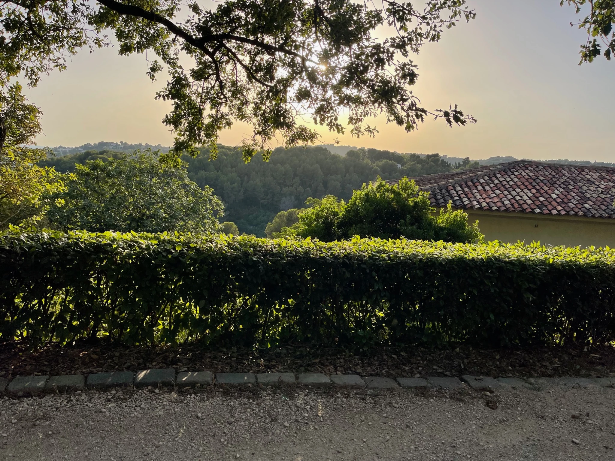 Haie entretenue dans un jardin ouvert sur le paysage