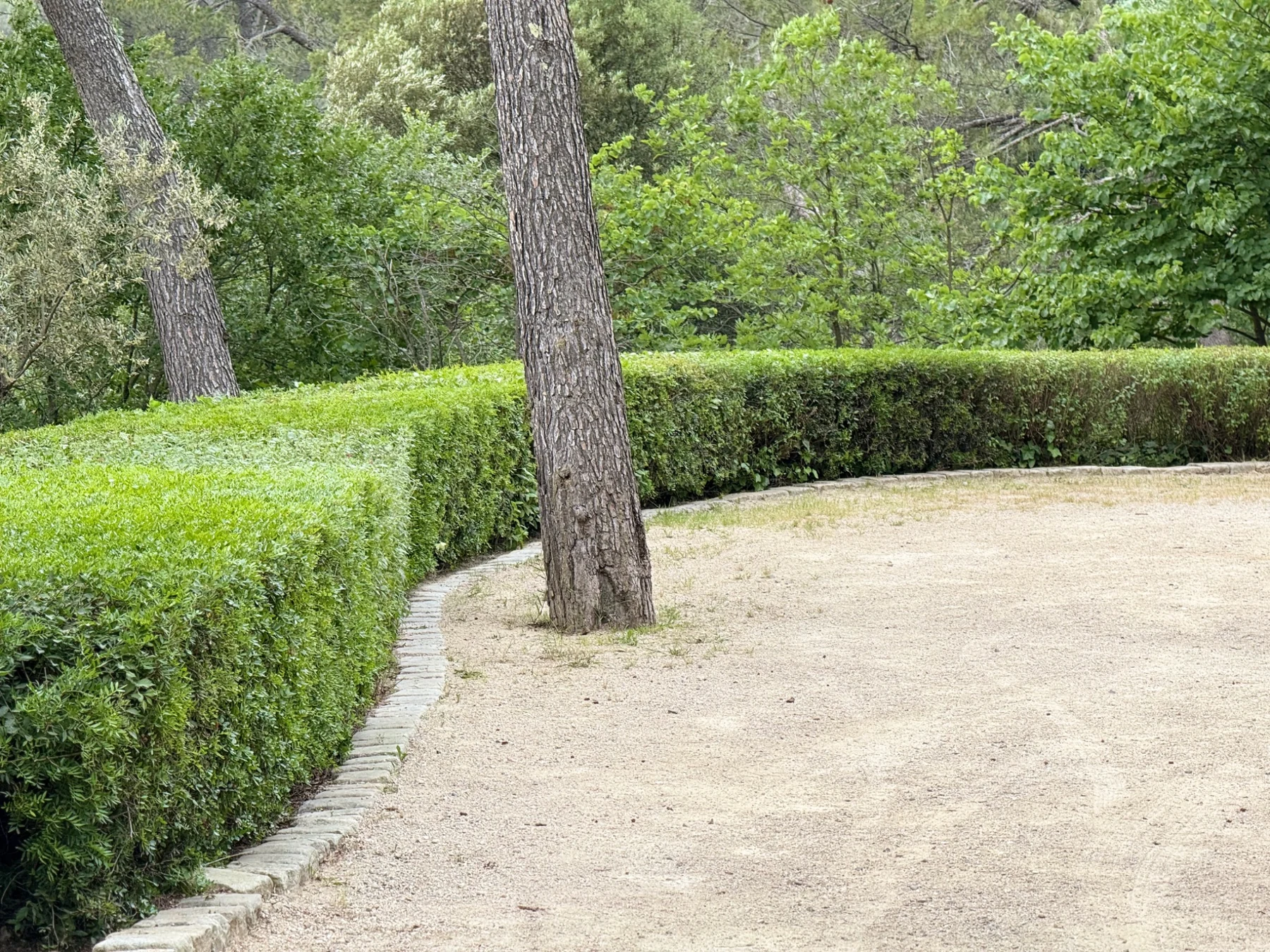 Allée claire bordée de haies basses entretenues